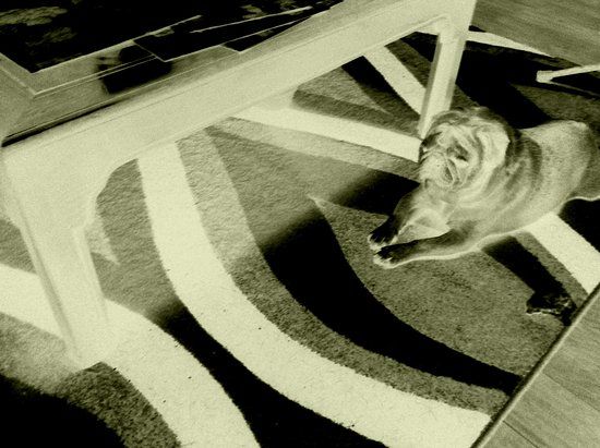 Cottonwoods Golf Club